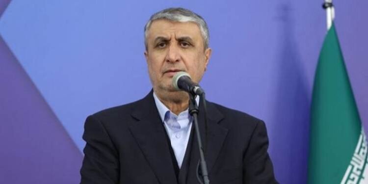 سەرۆکی رێکخراوی وزەی ئەتۆمیی ئێران: مافی تاران بۆ…