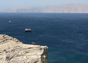 40 وڵات بۆ دابینکردنی ئاسایشی گەرووی هورمز کۆدەبنەوە