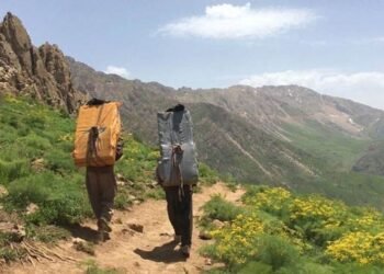 ئێران رێگە بە کۆڵبەران دەدات ماددەی خاوی…